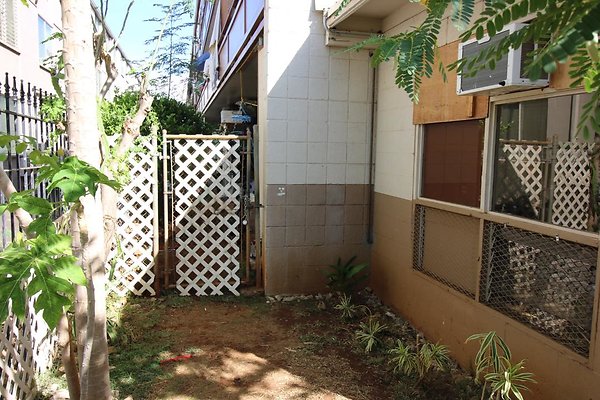 th IMG 1932 th IMG 1932