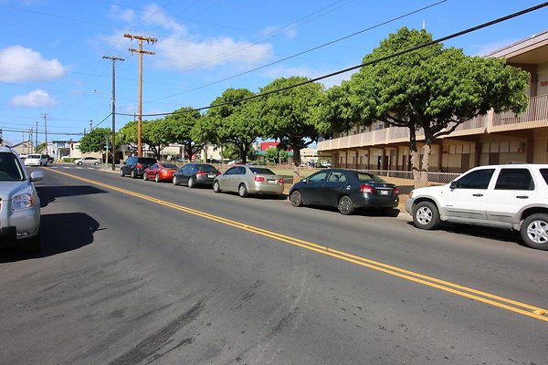 th IMG 1908 th IMG 1908