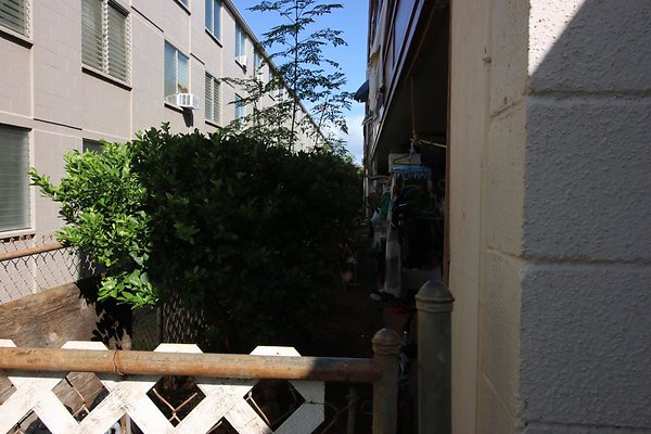 th IMG 1934 th IMG 1934