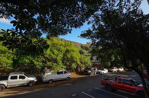 th DSC1795 th DSC1795