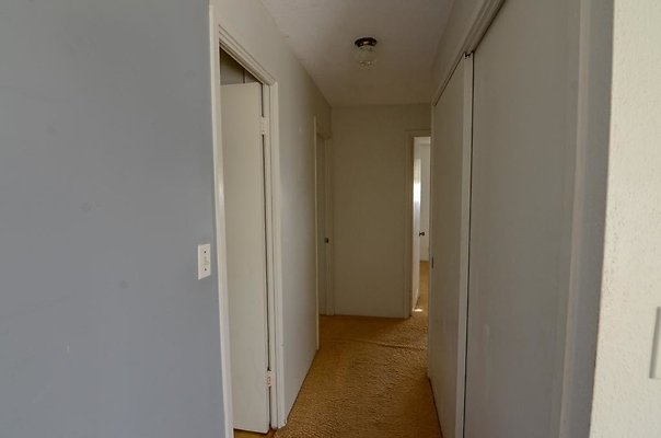 th DSC1784 th DSC1784