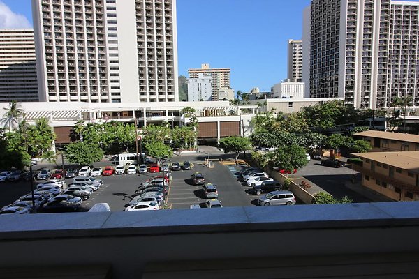 th IMG 1305 th IMG 1305