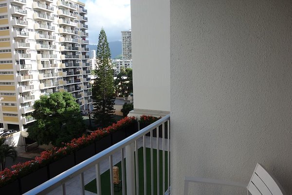 th DSC06803 th DSC06803