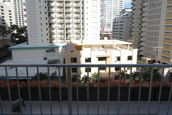 th DSC06802 th DSC06802