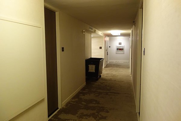 th DSC06773 th DSC06773