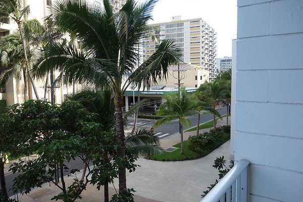 th DSC06785 th DSC06785