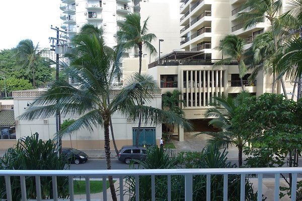 th DSC06784 th DSC06784