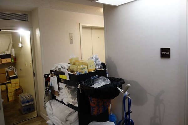 th DSC06741 th DSC06741