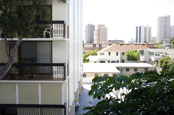 th IMG 9630 th IMG 9630