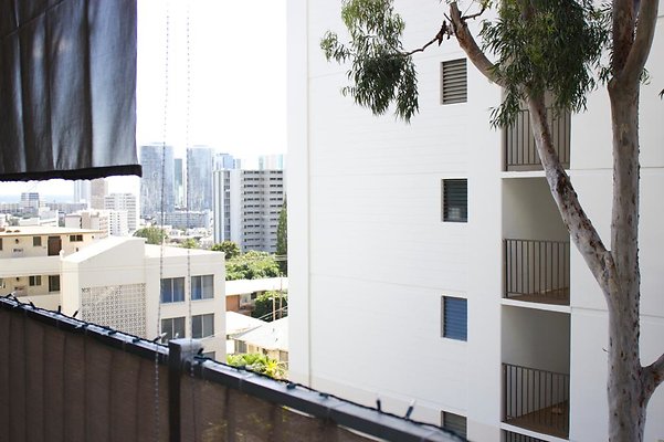 th IMG 9629 th IMG 9629