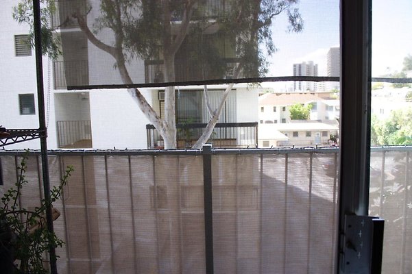 th IMG 9623 th IMG 9623