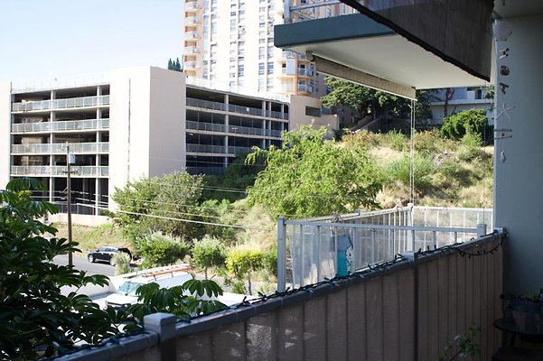 th IMG 9631 th IMG 9631