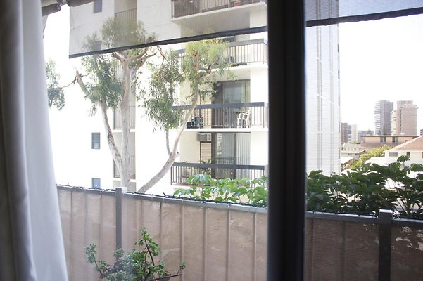 th IMG 9615 th IMG 9615