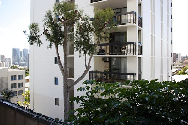 th IMG 9634 th IMG 9634