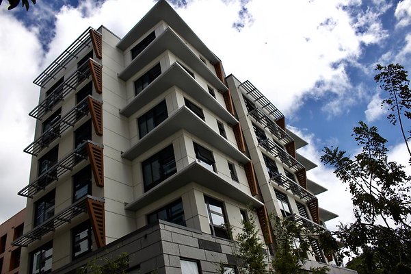 th IMG 7194 th IMG 7194