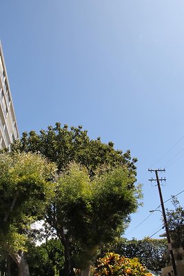 hi50 IMG 2393 hi50 IMG 2393