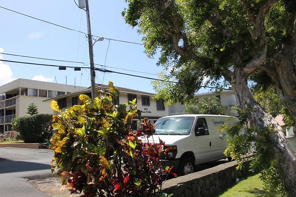 hi50 IMG 2396 hi50 IMG 2396