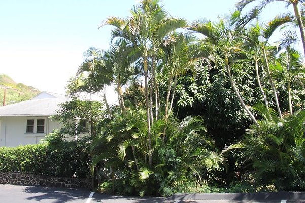 hi50 IMG 2399 hi50 IMG 2399