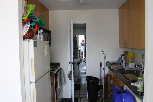 hi50 IMG 2380 hi50 IMG 2380