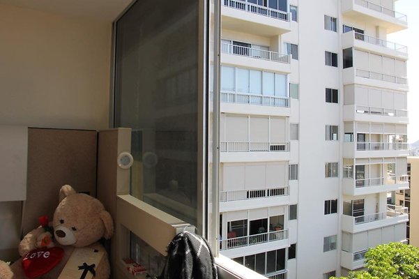 hi50 IMG 2373 hi50 IMG 2373