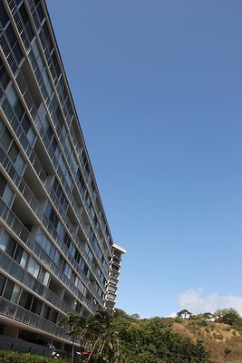 hi50 IMG 2391 hi50 IMG 2391