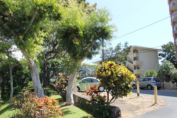 hi50 IMG 2394 hi50 IMG 2394