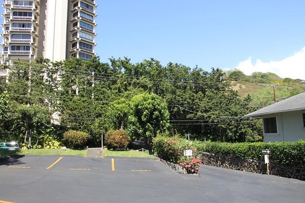 hi50 IMG 2398 hi50 IMG 2398