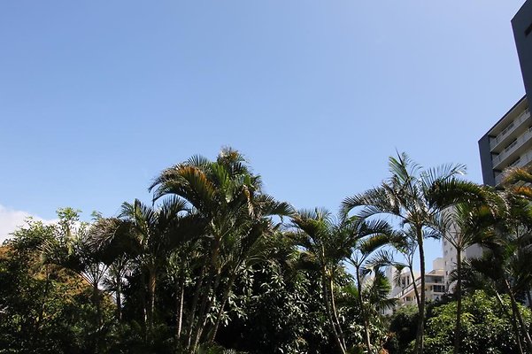 hi50 IMG 2400 hi50 IMG 2400