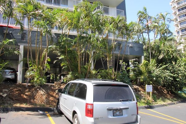 hi50 IMG 2397 hi50 IMG 2397