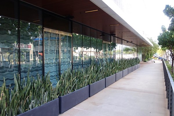 th DSC06908 th DSC06908