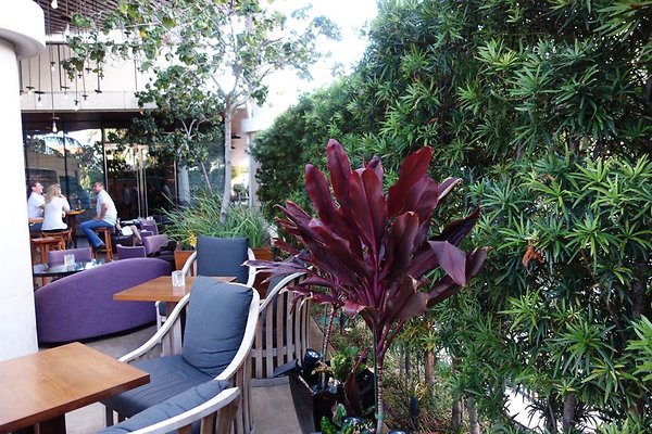 th DSC06896 th DSC06896