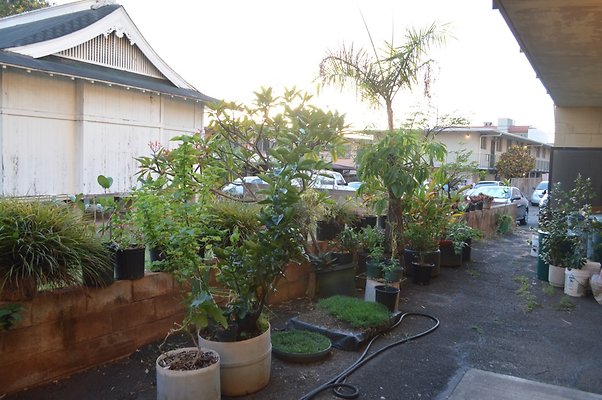 th DSC 0038 th DSC 0038