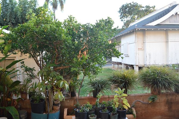 th DSC 0037 th DSC 0037