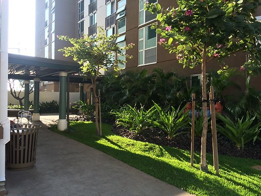 HI50 S5 Halekauwila Place 25 HI50 S5 Halekauwila Place 25