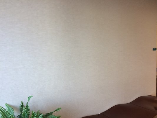 HI50 S5 Halekauwila Place 41 HI50 S5 Halekauwila Place 41