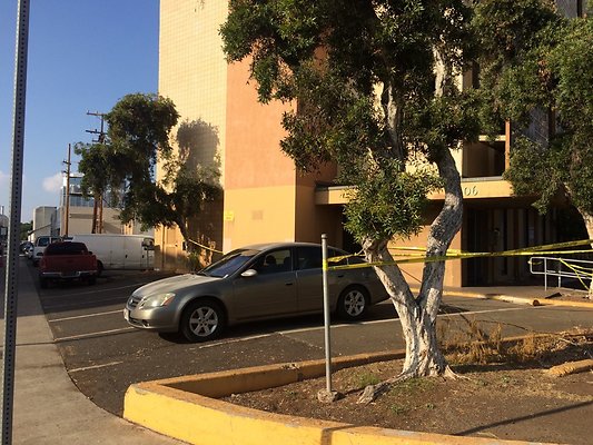 HI50 S5 Halekauwila Place 12 HI50 S5 Halekauwila Place 12