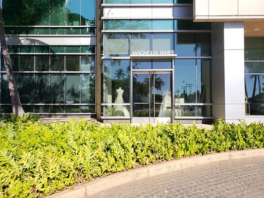 Magnolia White