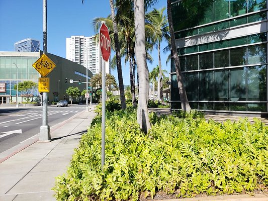 th 20200123 144442 th 20200123 144442