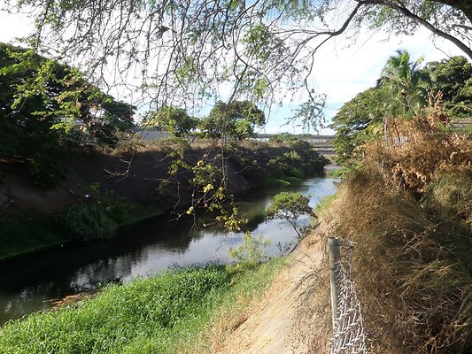 pouhala marsh wildlife 94-52 nawaaakoa st