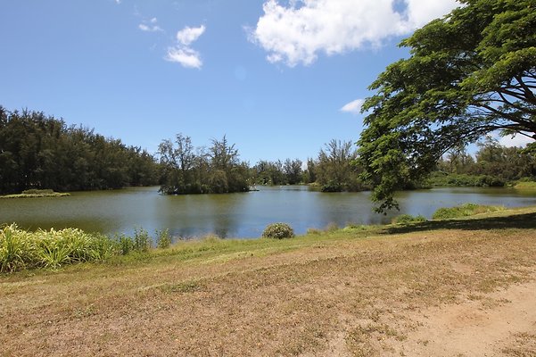 Dillingham Ranch Siri 382 3512