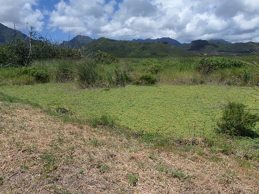 th SAM 1116 - SAMSUNG CAMERA PICTURES th SAM 1116 - SAMSUNG CAMERA PICTURES