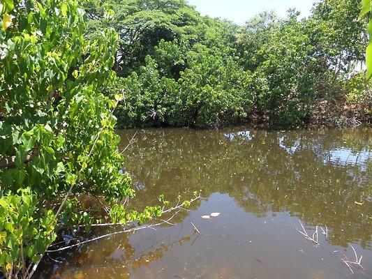 th SAM 1104 - SAMSUNG CAMERA PICTURES th SAM 1104 - SAMSUNG CAMERA PICTURES