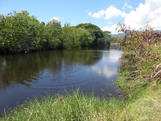 th SAM 1096 - SAMSUNG CAMERA PICTURES th SAM 1096 - SAMSUNG CAMERA PICTURES