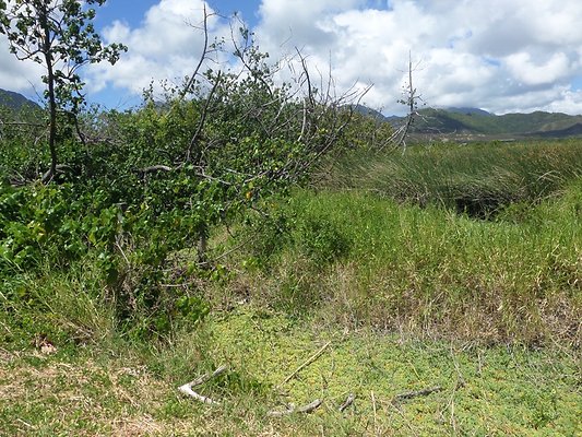 th SAM 1115 - SAMSUNG CAMERA PICTURES th SAM 1115 - SAMSUNG CAMERA PICTURES