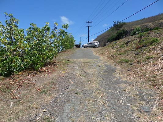 th SAM 1110 - SAMSUNG CAMERA PICTURES th SAM 1110 - SAMSUNG CAMERA PICTURES