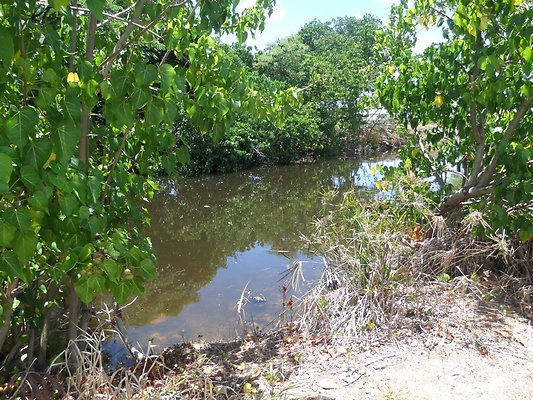 th SAM 1105 - SAMSUNG CAMERA PICTURES th SAM 1105 - SAMSUNG CAMERA PICTURES