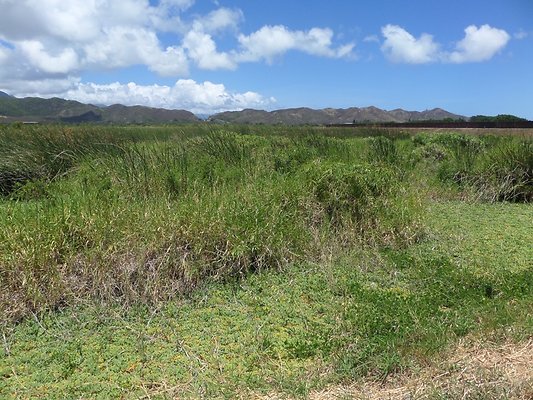 th SAM 1114 - SAMSUNG CAMERA PICTURES th SAM 1114 - SAMSUNG CAMERA PICTURES