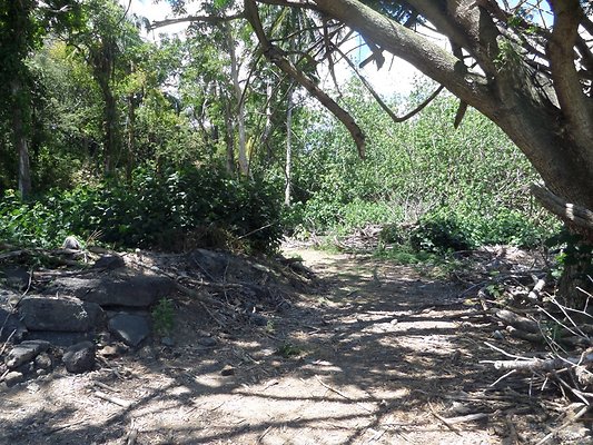 th SAM 1111 - SAMSUNG CAMERA PICTURES th SAM 1111 - SAMSUNG CAMERA PICTURES