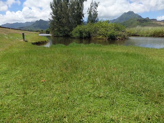 th SAM 1103 - SAMSUNG CAMERA PICTURES th SAM 1103 - SAMSUNG CAMERA PICTURES