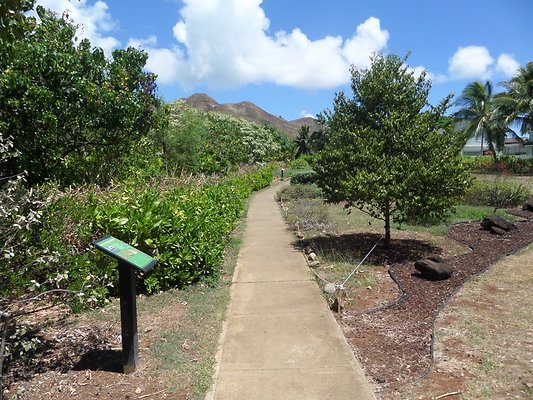 th SAM 1092 - SAMSUNG CAMERA PICTURES th SAM 1092 - SAMSUNG CAMERA PICTURES